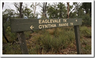 The beginning of the Cynthia Range Track