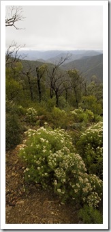 Victorian High Country