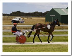 The King Island Races