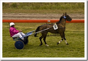 The King Island Races