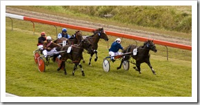 The King Island Races