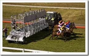 The King Island Races