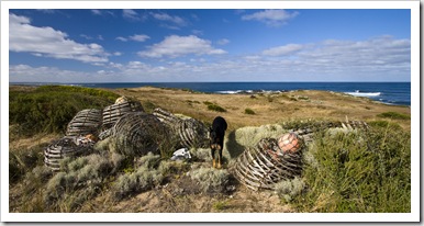 Old lobster pots and 'D the Dog'