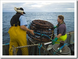 Rob and Russell pulling in a crayfish pot