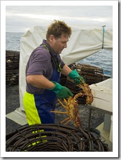 Russell removing crayfish from the pot