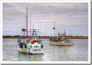 Crayfish boats in the Currie harbour