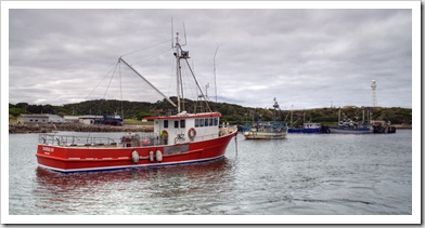 Crayfish boats in the Currie harbour
