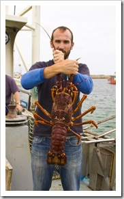 Sam holding a four kilogram crayfish