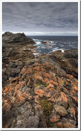 Seal Rocks