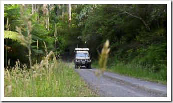 The Tank cruising the Otway Ranges