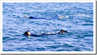 Sam and Lisa snorkeling in Coles Bay