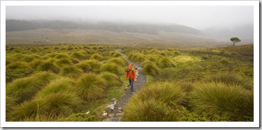 Lisa walking through the plains near Crater Creek