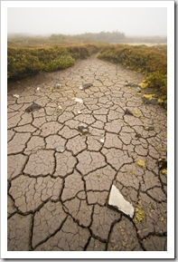 The boggy plains near Crater Peak