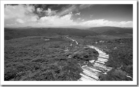 High country plains near Crater Peak