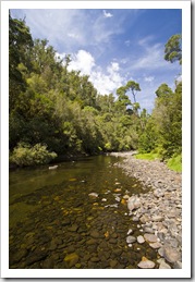 The Hellyer River next to our Hellyer Gorge campsite