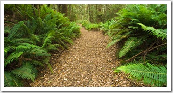 Hiking down to the Frankland River from Balfour