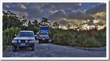 The Tank and her friend at our campsite on the Lindsay River