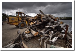 Wood ready to be milled in Strahan