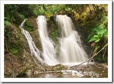 Hogarth Falls in central Strahan