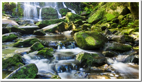 Nelson Falls in Cradle Mountain-Lake Saint Clair National Park