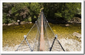 The swinging bridge over the Franklin River