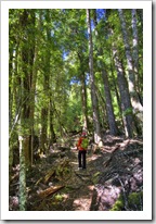 Lisa hiking through the forest around Lake Saint Clair