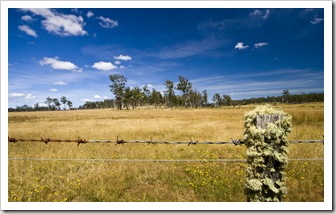 Countryside on the drive to Freycinet Peninsula