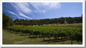 Freycinet Winery