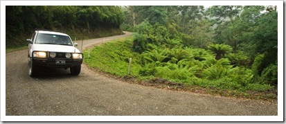 Greg and Carol driving through the rainforest near Halls Falls