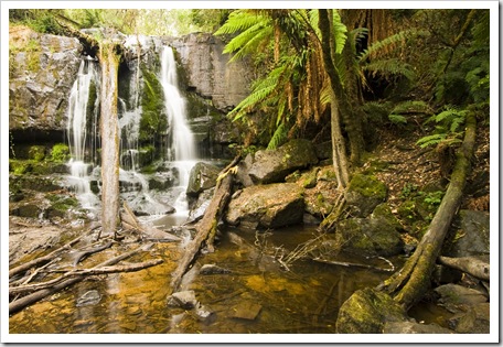 Lilydale Falls