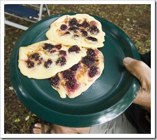 Blackberry pancakes for breakfast at Lilydale Falls