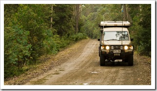 Cruising through the rainforests near Mount Maurice