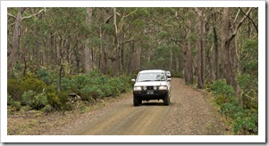 The road up to Ben Lomond National Park