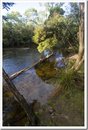 The South Esk River alongside Griffin Park camping area