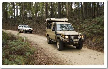 Making our way into Evercreech Forest