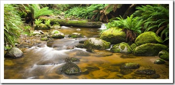 The picturesque cascades in Evercreech Forest