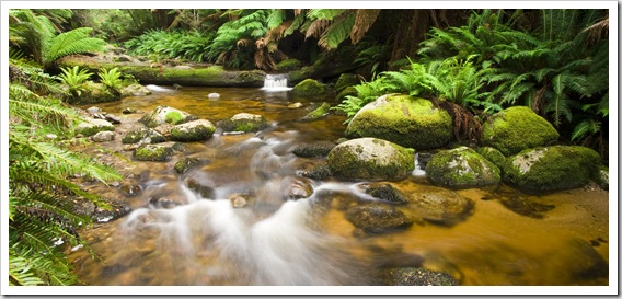 The picturesque cascades in Evercreech Forest