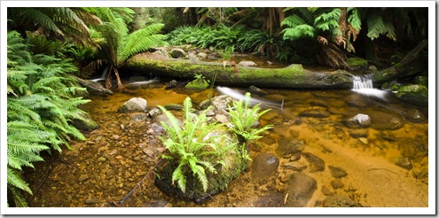 The picturesque cascades in Evercreech Forest