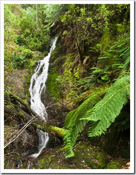 Evercreech Falls