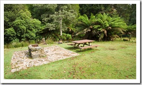 Camping facilities at Evercreech Forest