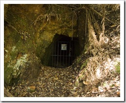 An abandoned mine shaft near Mount Victoria