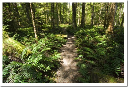 The hiking trail to Ralphs Falls