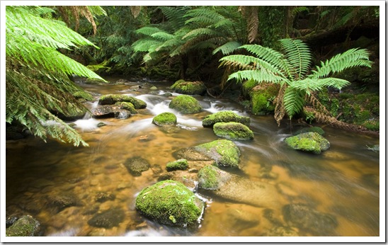 The creek near Saint Columba Falls