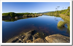 Morning light at Lagoons Beach camping ground