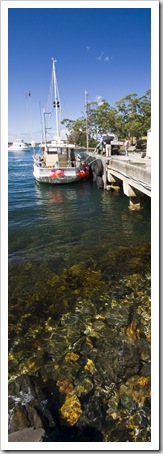 Crayfishing boats docked at Port Arthur