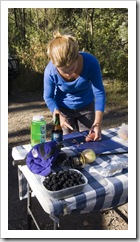 Lisa taking care of dinner next to a container of fresh blackberries