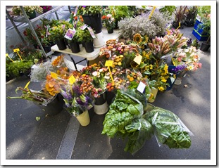 Salamanca Markets