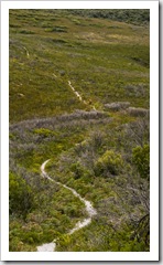 The hike toward Tasman Head from Cloudy Bay