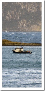 A fishing boat seeking refuge in Cloudy Bay