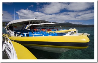 Bruny Island Cruises